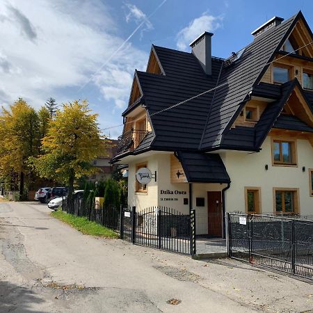 Dzika Owca Apartment Закопане Екстериор снимка