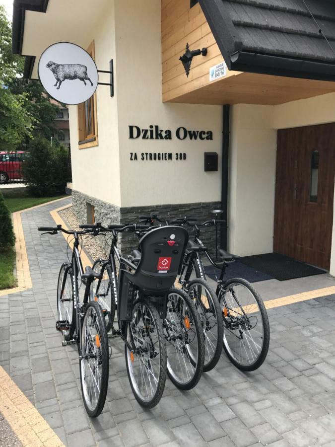 Dzika Owca Apartment Закопане Екстериор снимка
